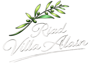 Riad Villa Alain