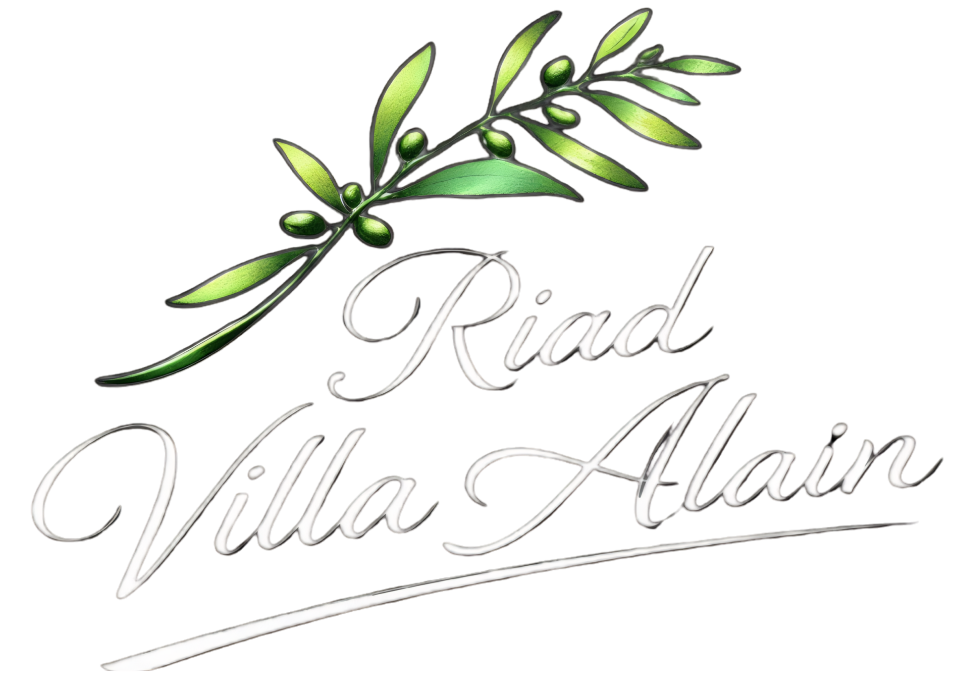 Riad Villa Alain