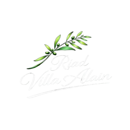 Riad Villa Alain